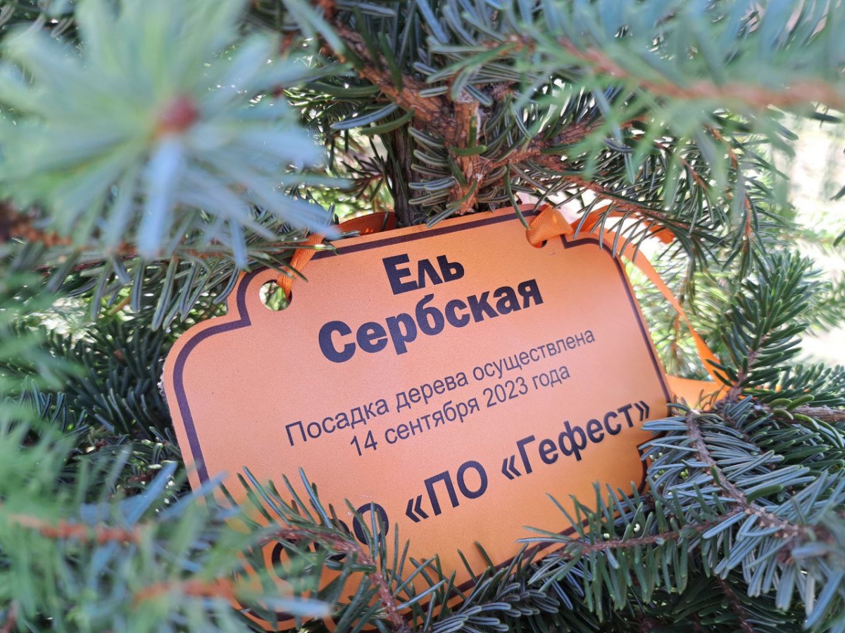 Гефест увековечил имя компании в Нижегородском Кремле ...